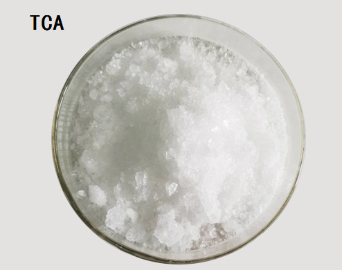 CAS 302-17-0 Clo hydrat (TCA) C2H3Cl3O2