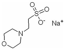 CAS 71119-23-8 MES-NA 2- (N-Morpholino) Muối natri axit ethanesulfonic